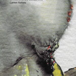 El relieve de Lanzarote.